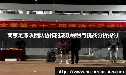 南京足球队团队协作的成功经验与挑战分析探讨